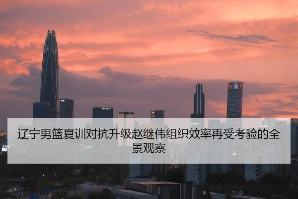 辽宁男篮夏训对抗升级赵继伟组织效率再受考验的全景观察
